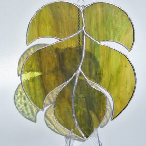 Feuille de Monstera verte