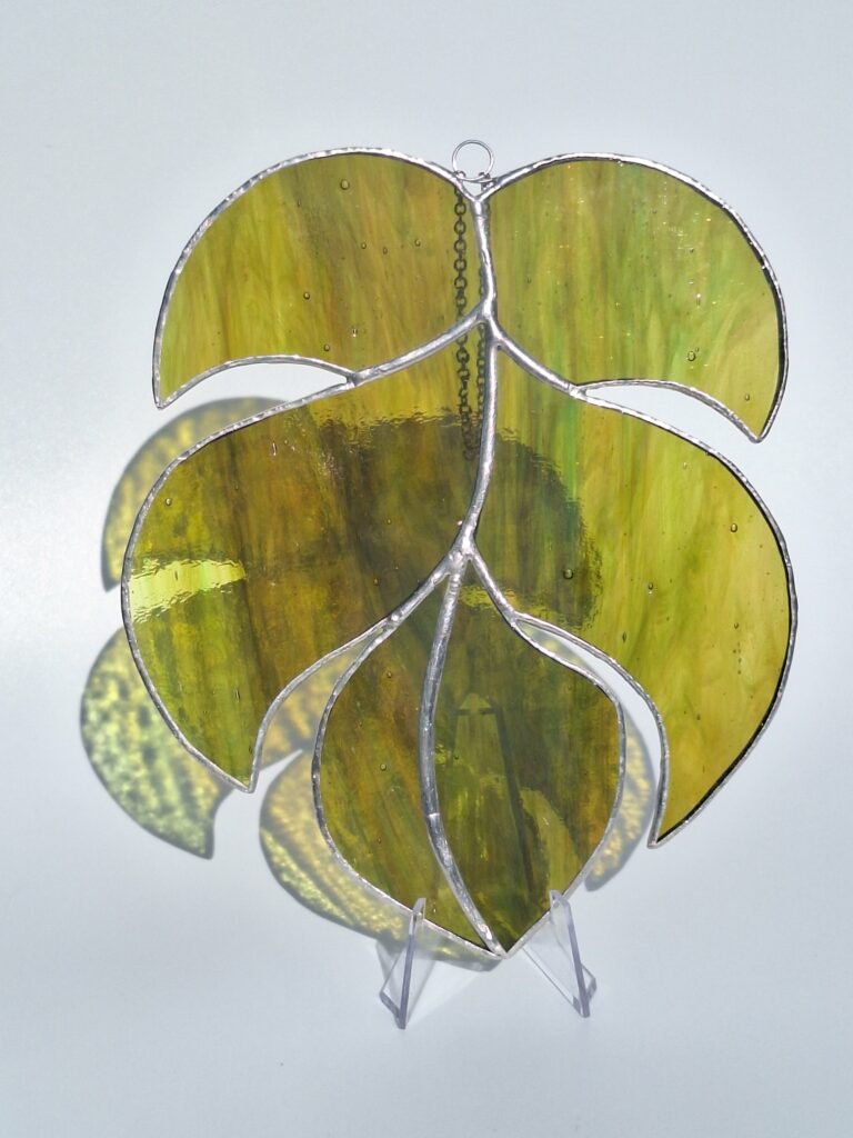 Feuille de Monstera verte