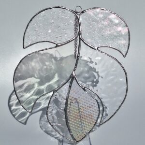 Feuille de Monstera transparente