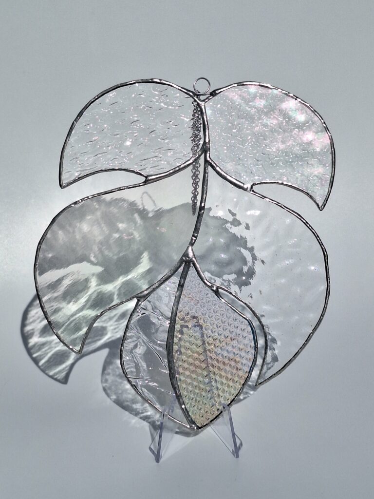 Feuille de Monstera transparente