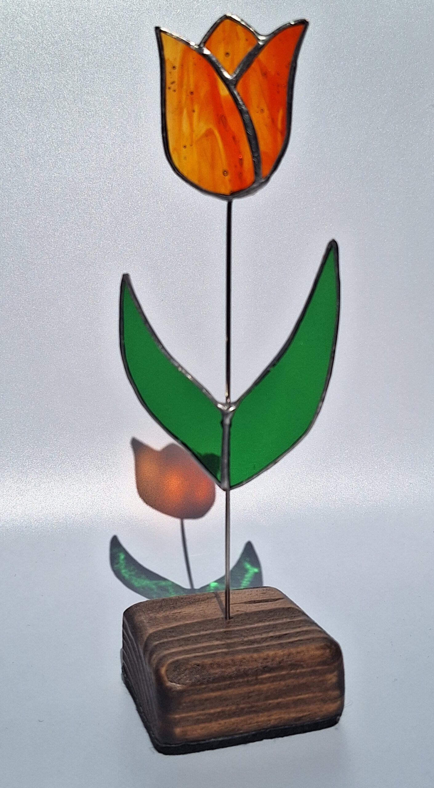 Tulipe sur socle – Image 3
