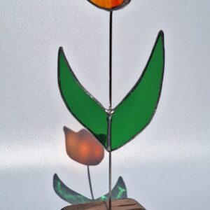 Tulipe sur socle