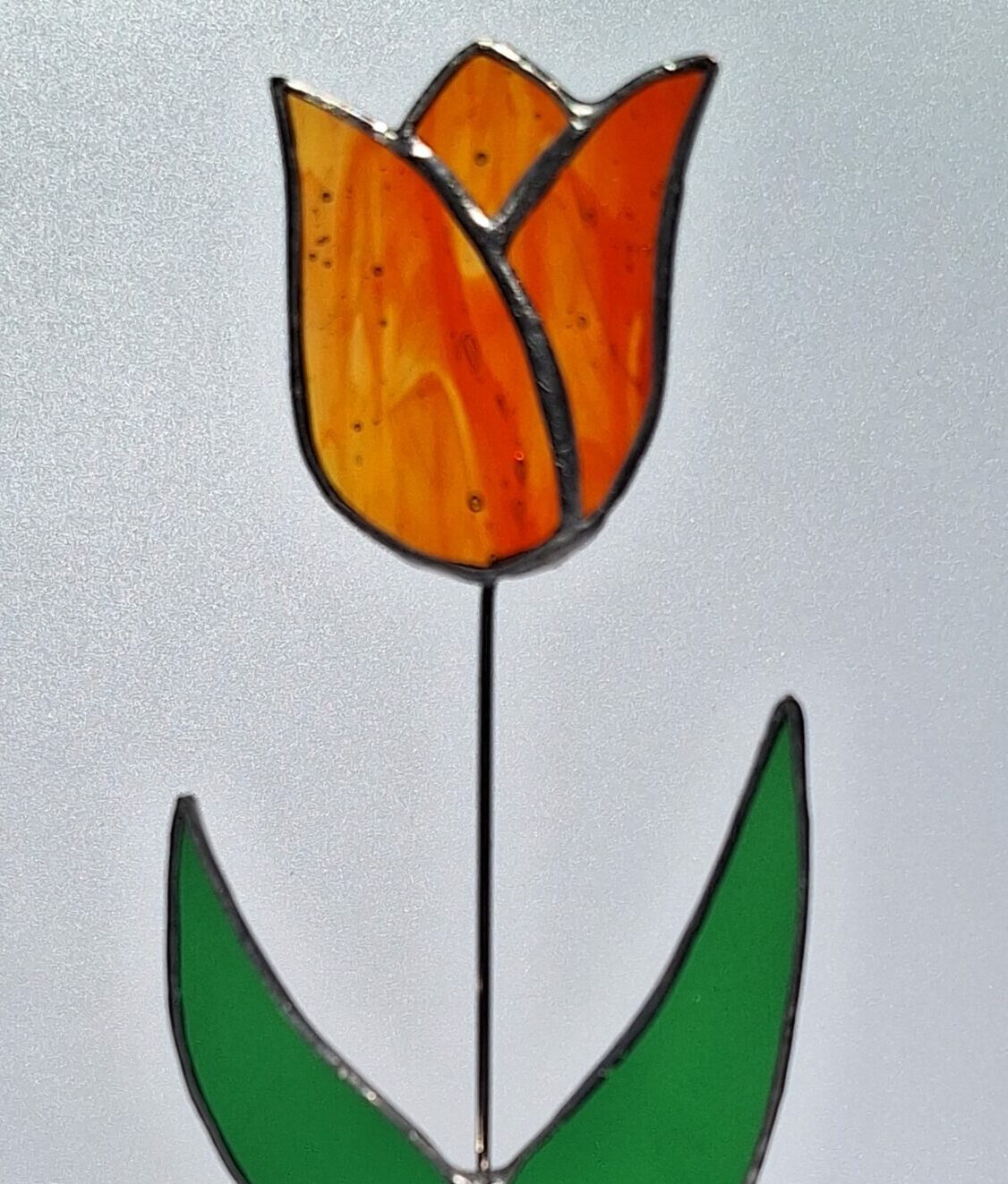 Tulipe sur socle