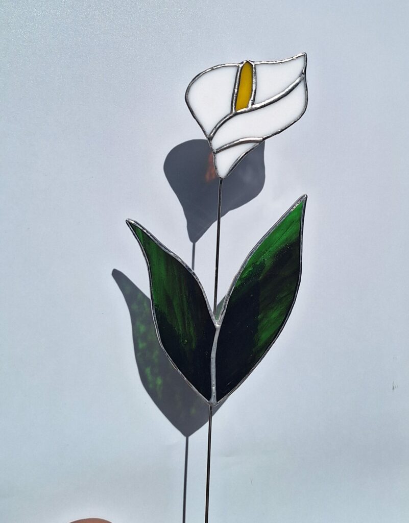 Fleur d'Arum